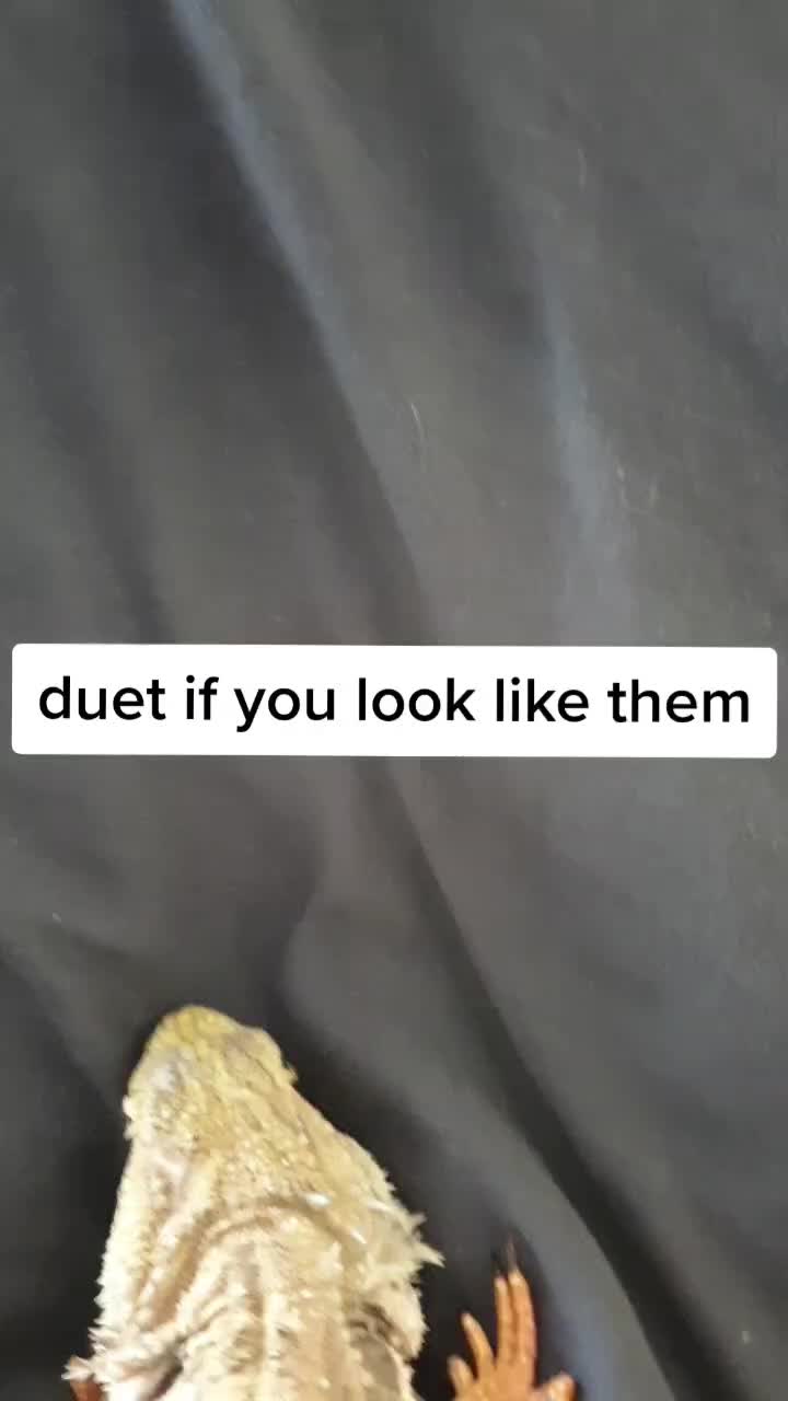 @Duet if you look like them