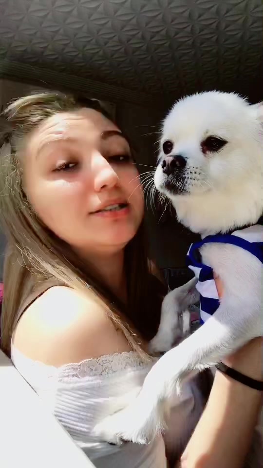 @deniz melek