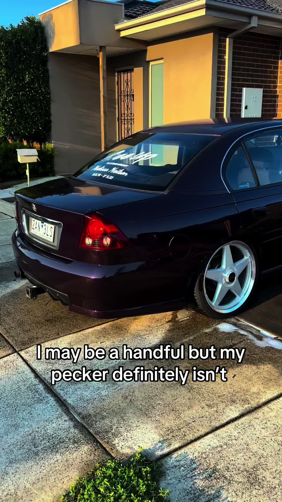 @Bagged.ve