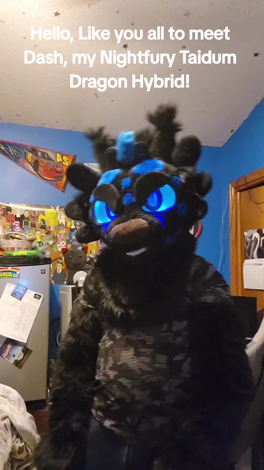 @DashTheNightFuryTaidum
