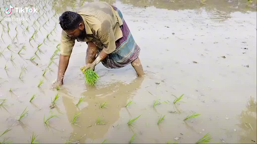 @rahul_f