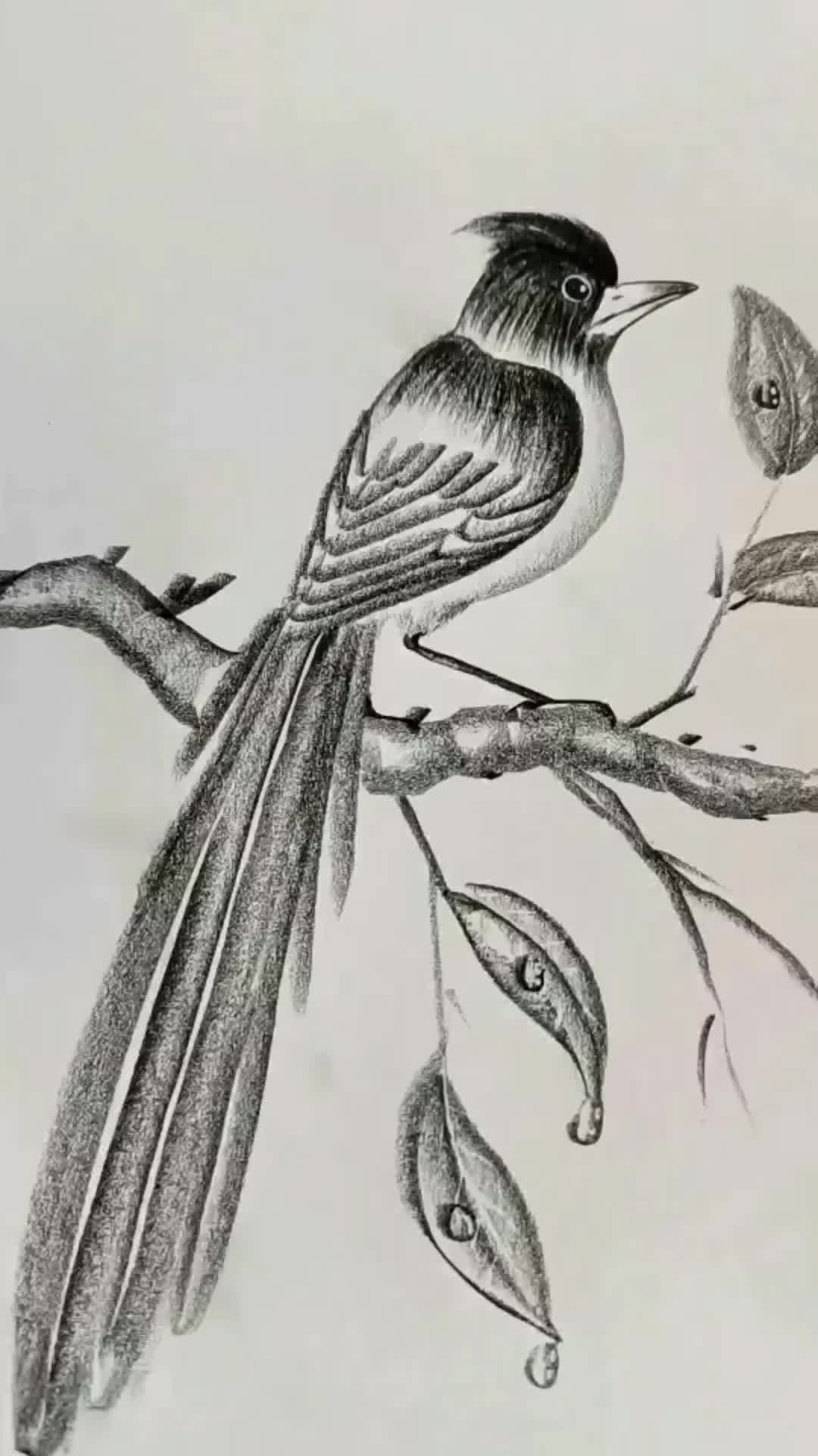 @blanche3121