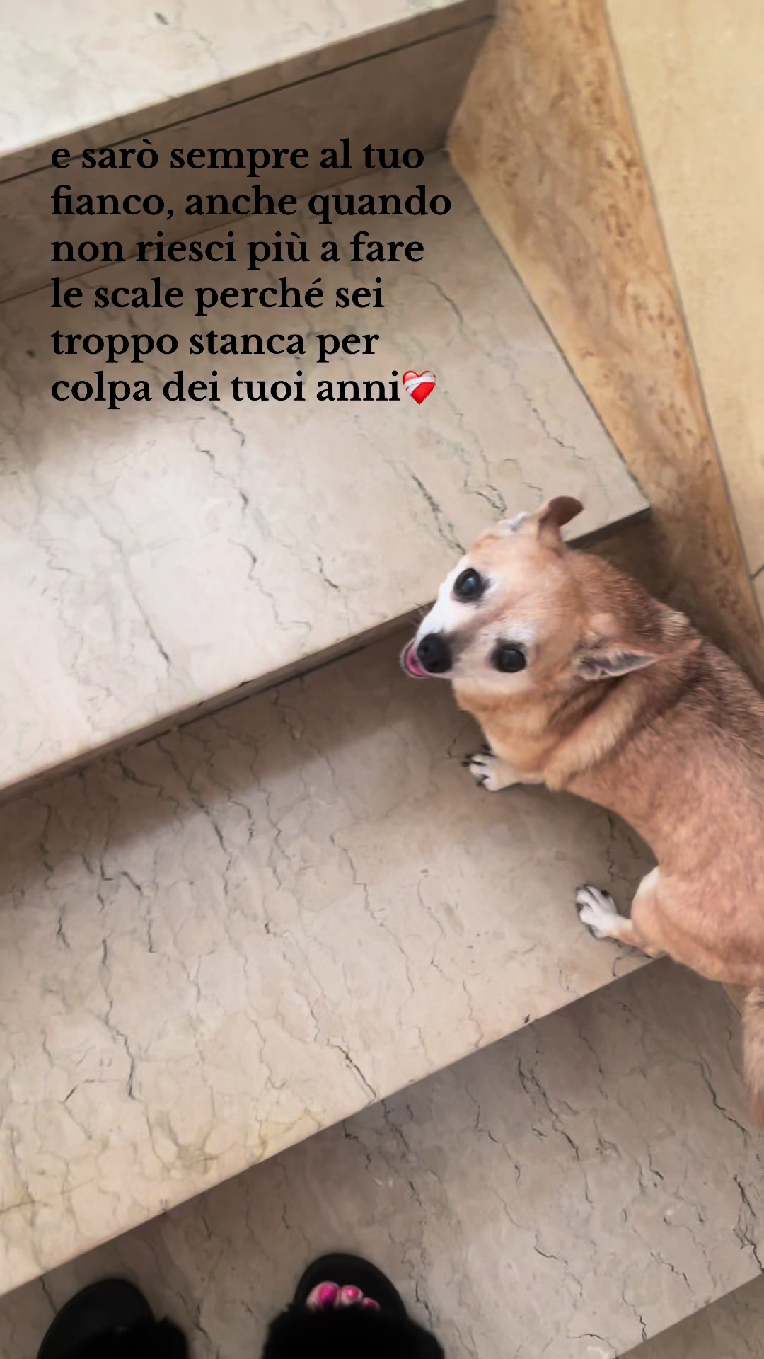 @michiamano.petardo._