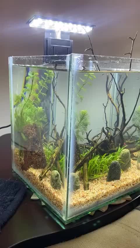 @goldenaquahub