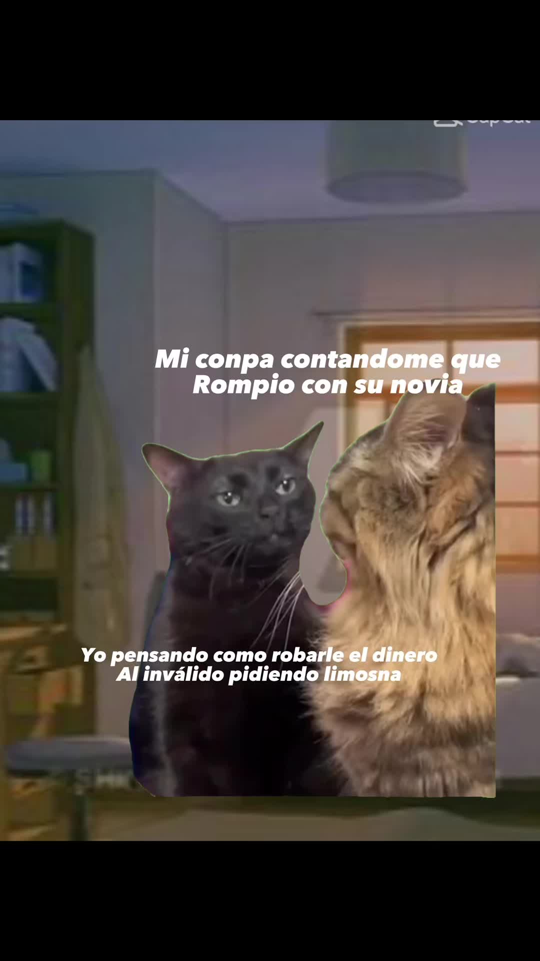 @diego.guy