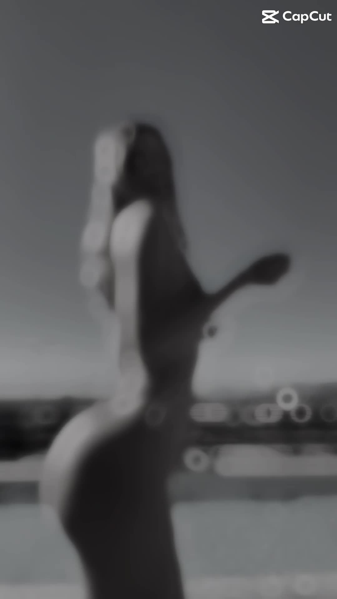 @Anna Uddenberg