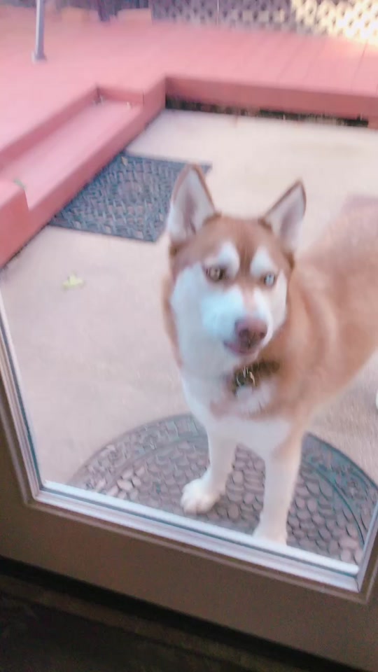 @Shylee