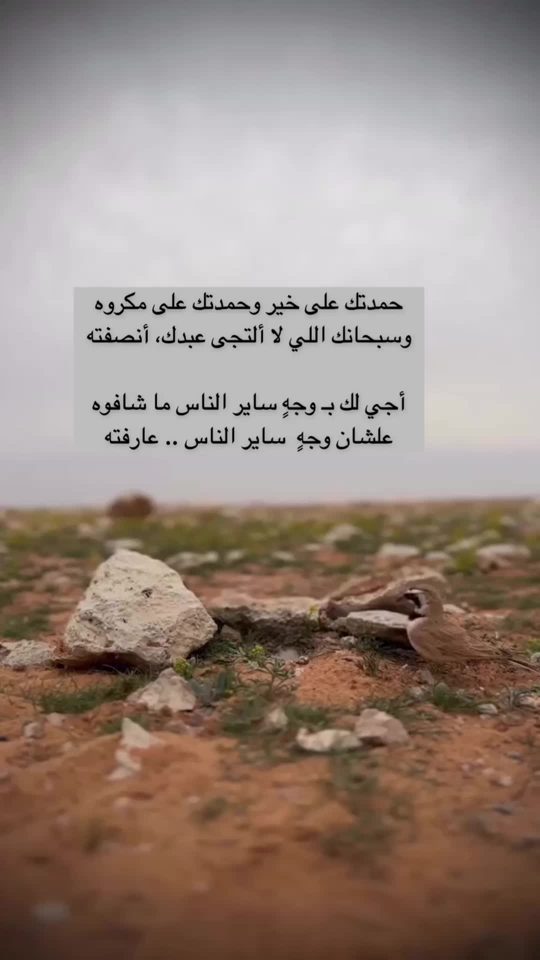 @شعور