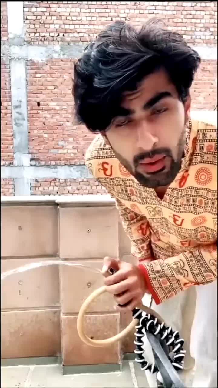 @doloresrohan