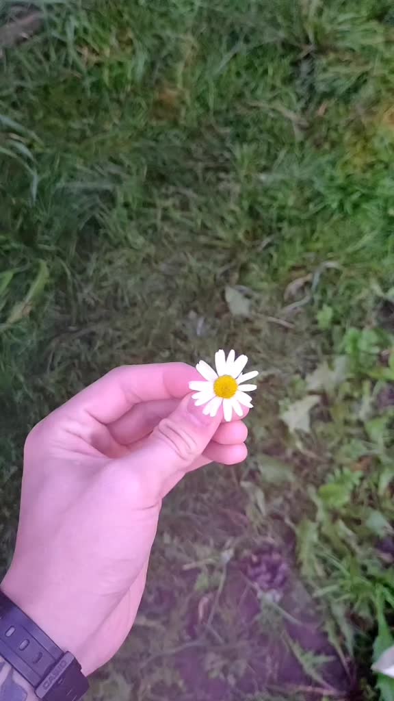 @Антошка