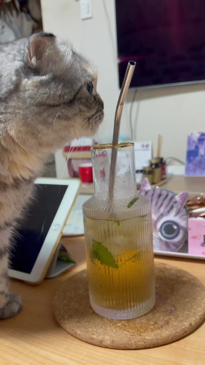 @가미가미
