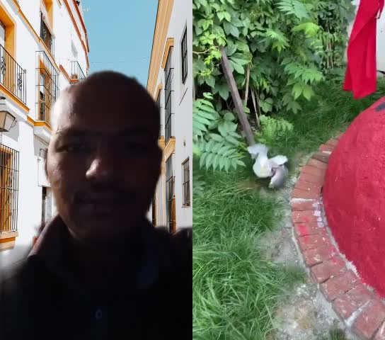 @Nagendra