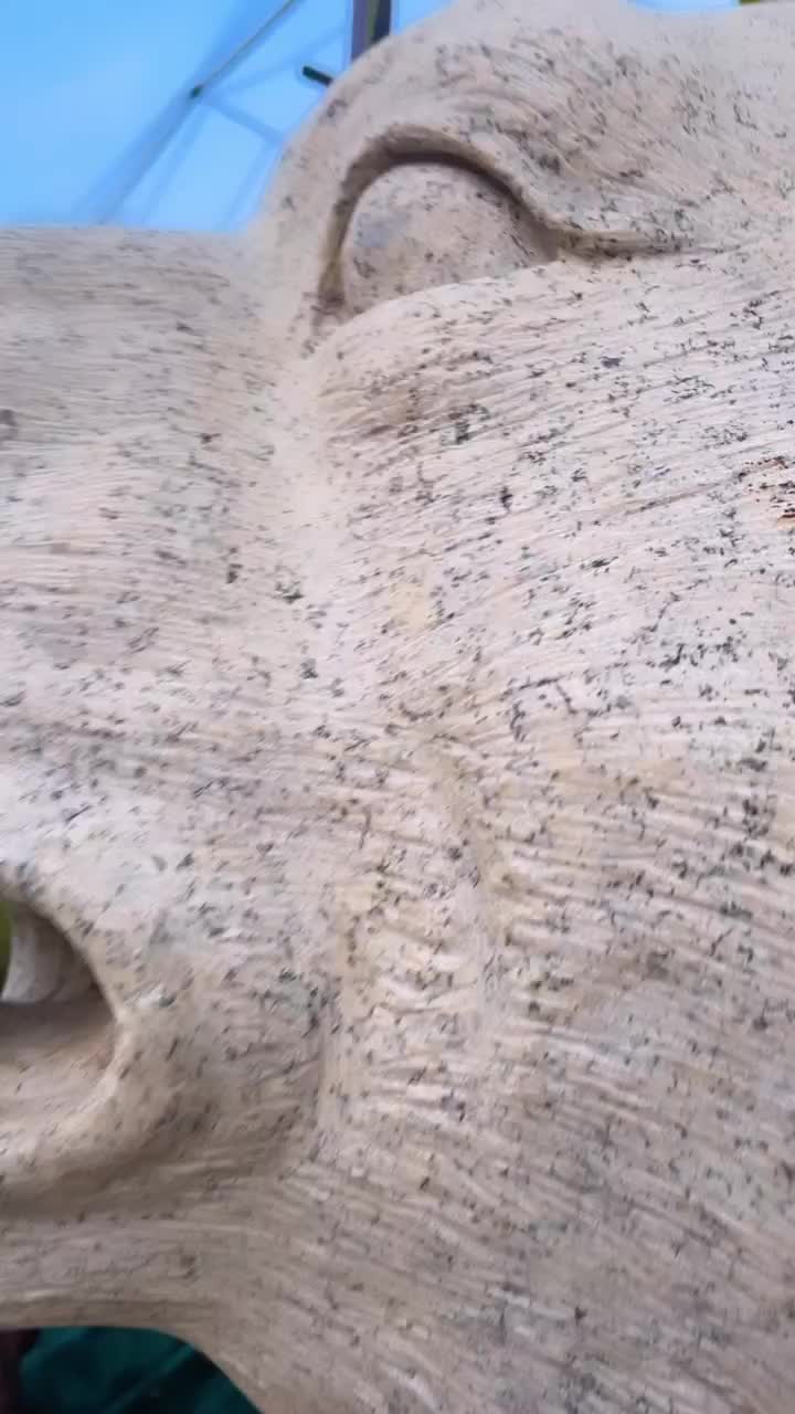 @user21270432777