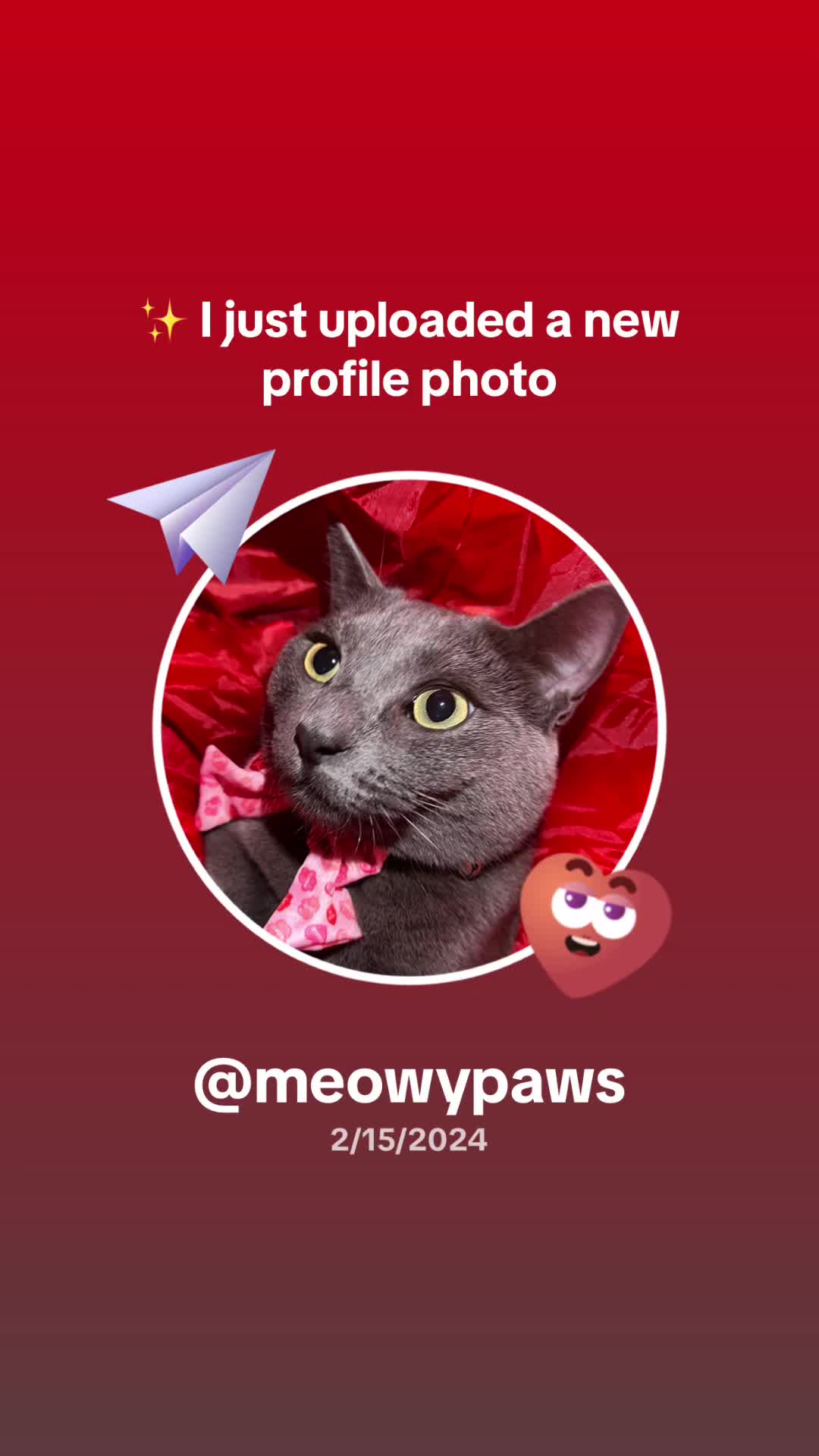 @Hella Paws