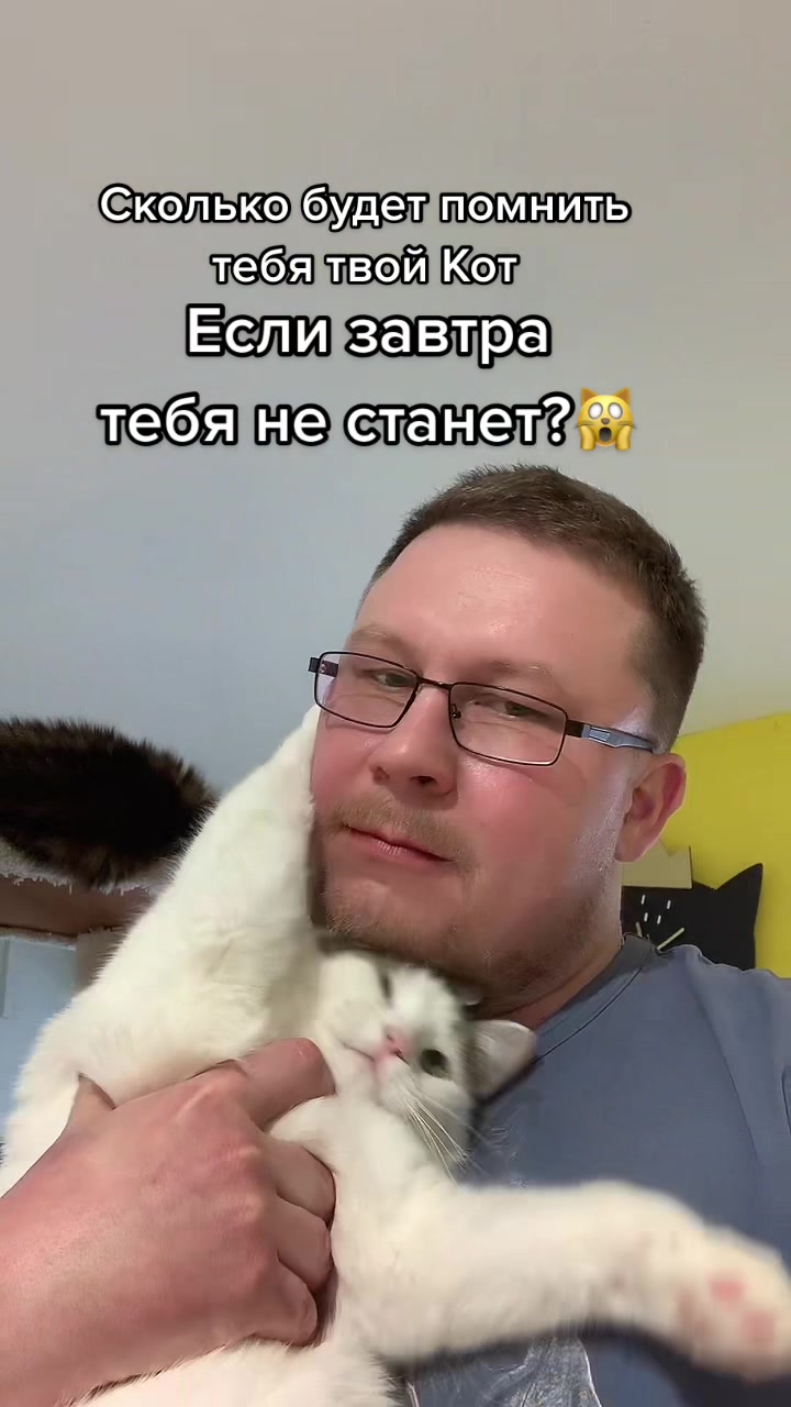 @Антошкин Кот