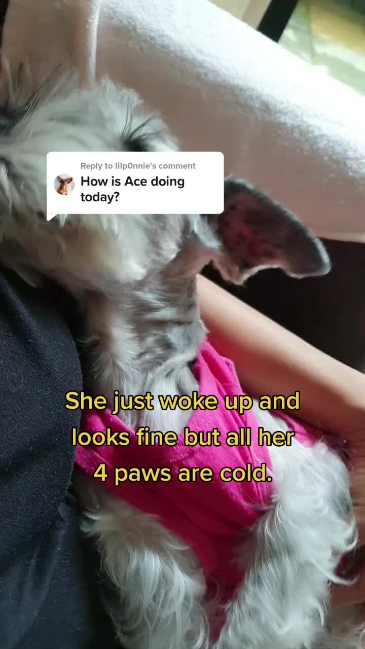 @Acee