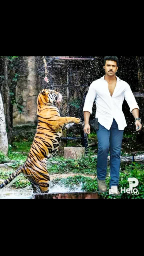 @Venky Ismart