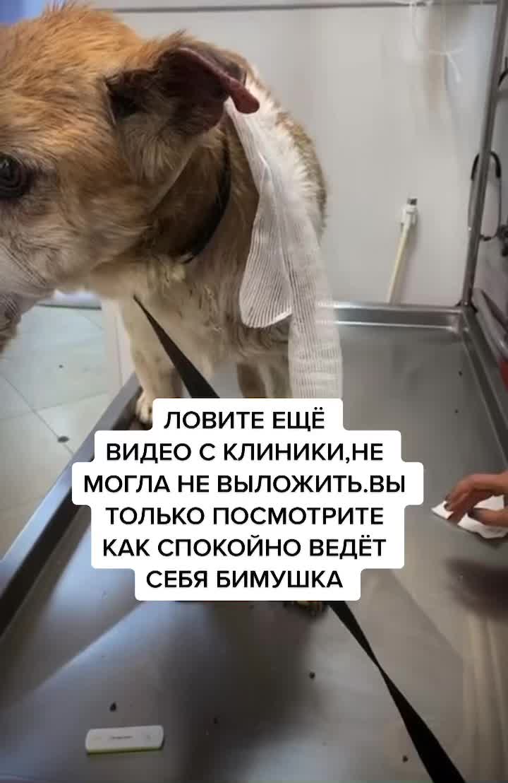 @Елена Белова