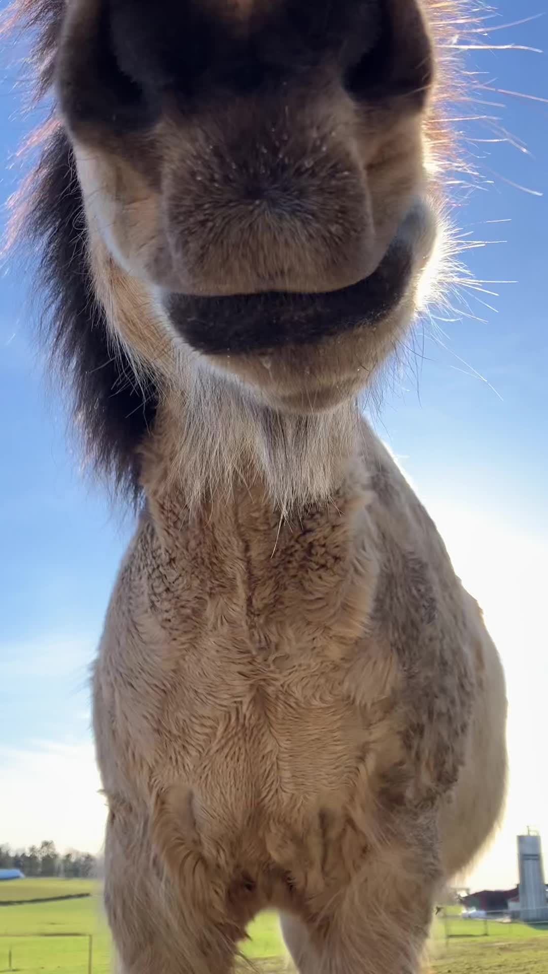 @𝓝𝓮𝓵𝓵𝓲𝓮💘