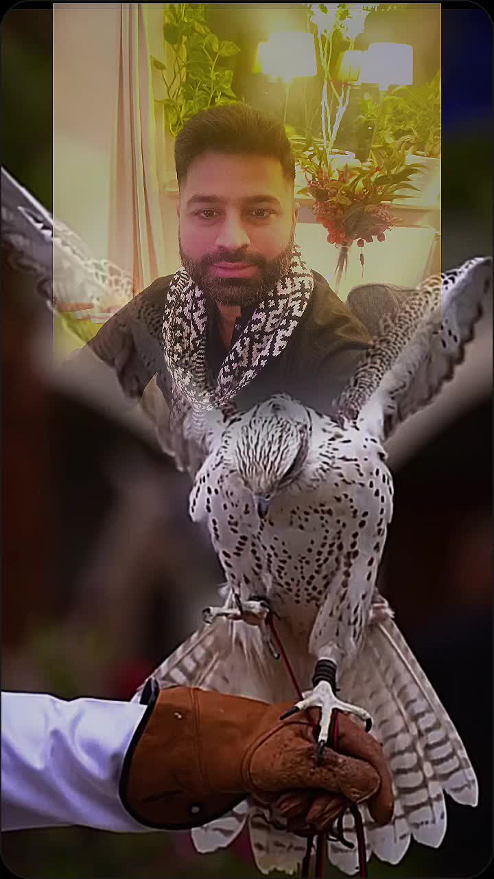 @Špåňiśh Bóy🥷🏽🔪