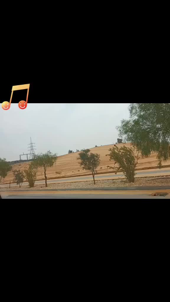 @tiktok fm