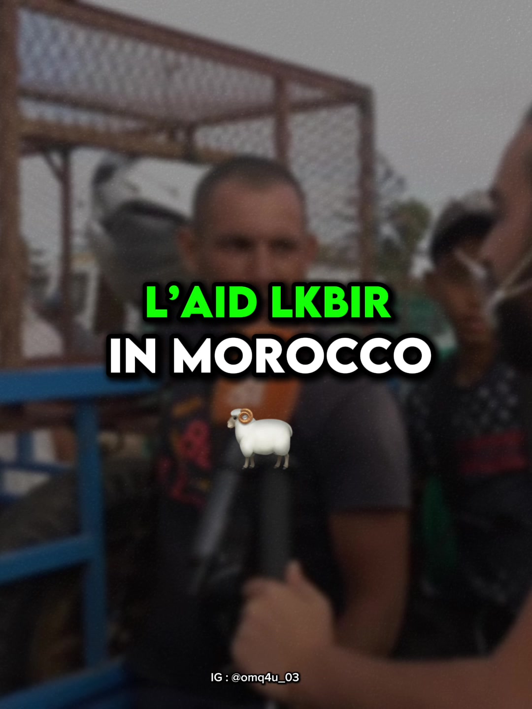 @Omq4u 🇲🇦