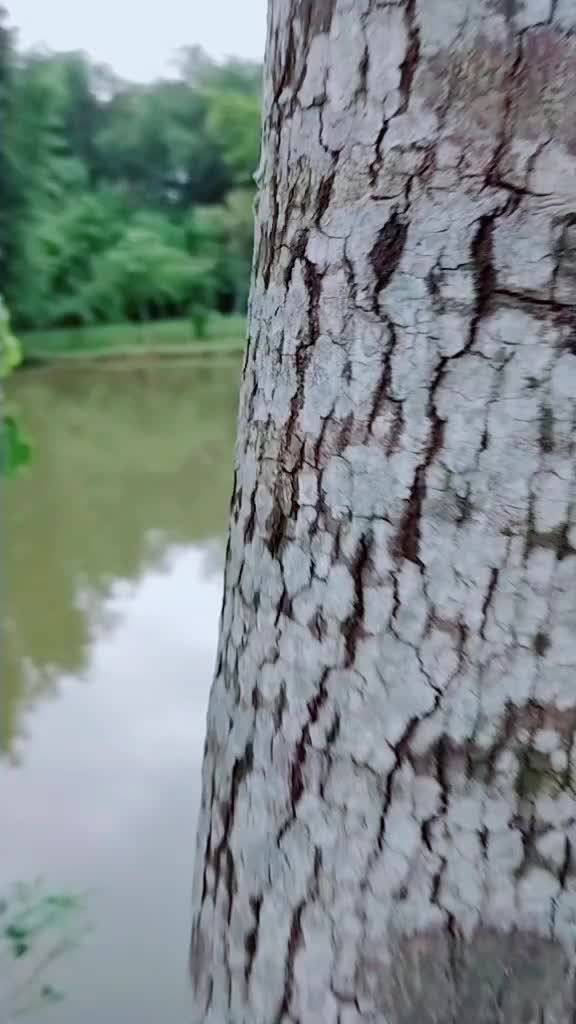 @Ratan Das