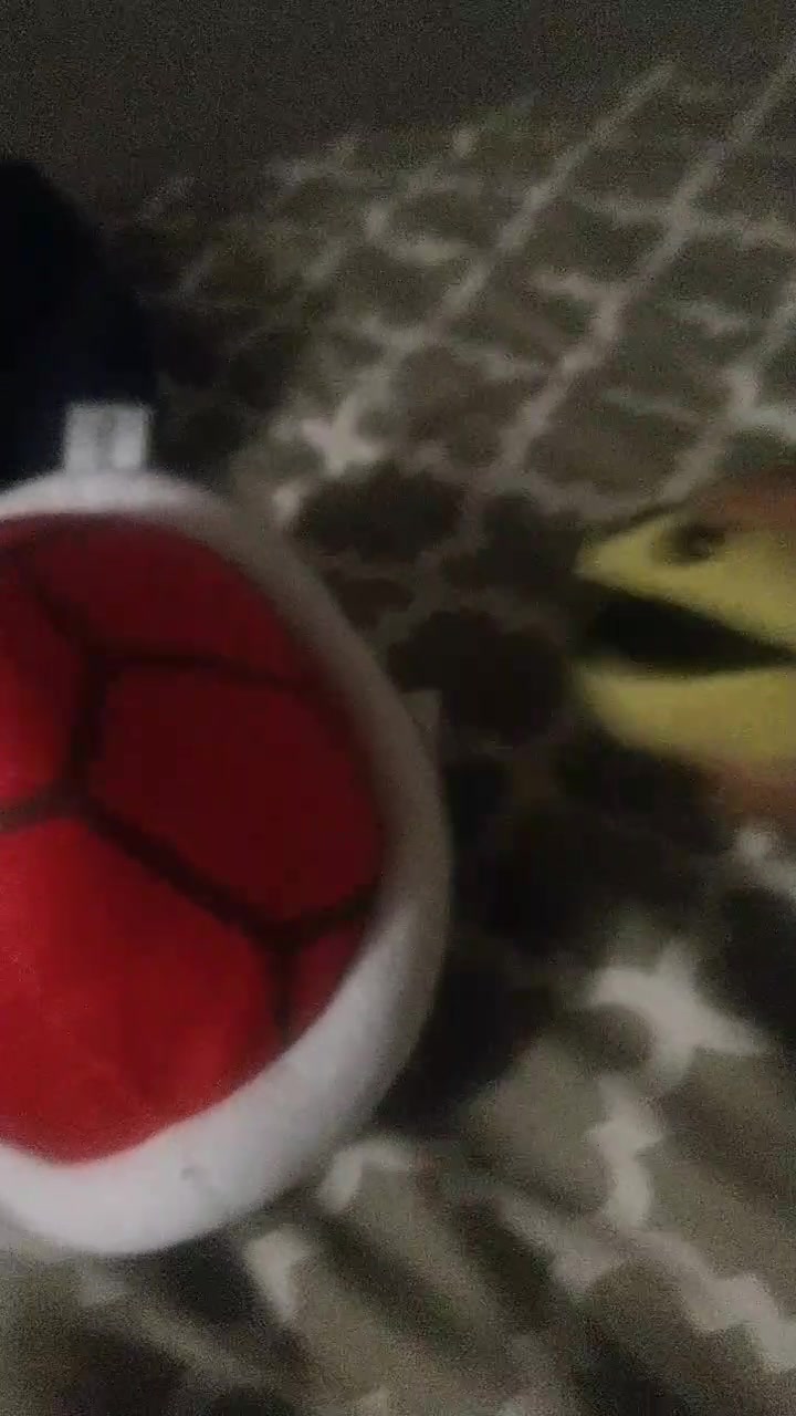 @pelhamtricky6