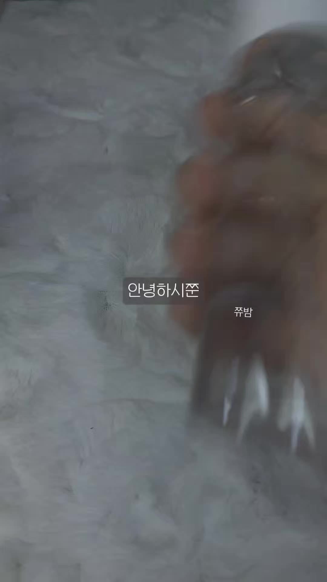 @꒰ঌੈ✩쮸밤ੈ☆໒꒱
