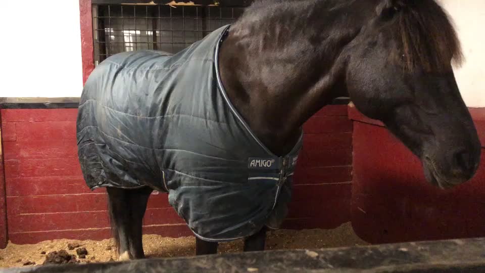 @🏇Ryttare🏇