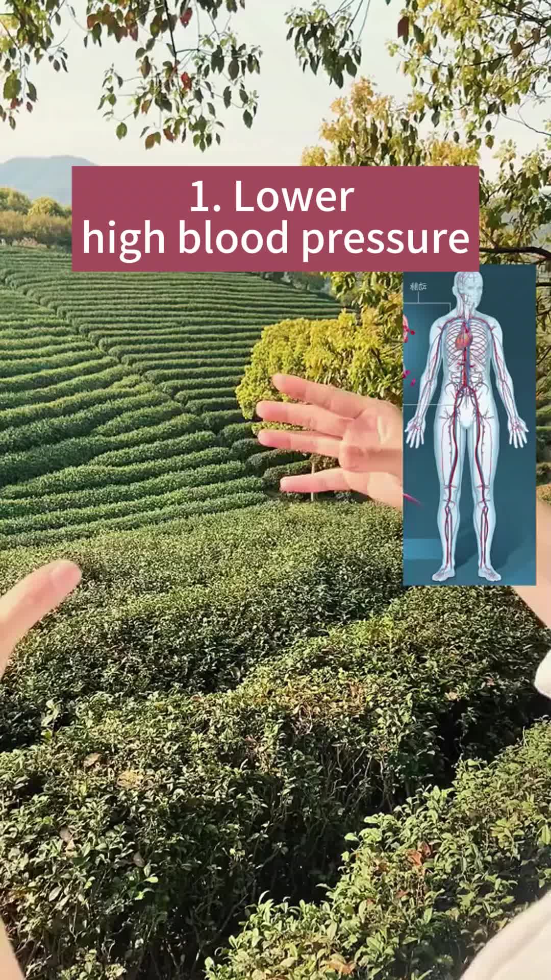 @roosecloud_us