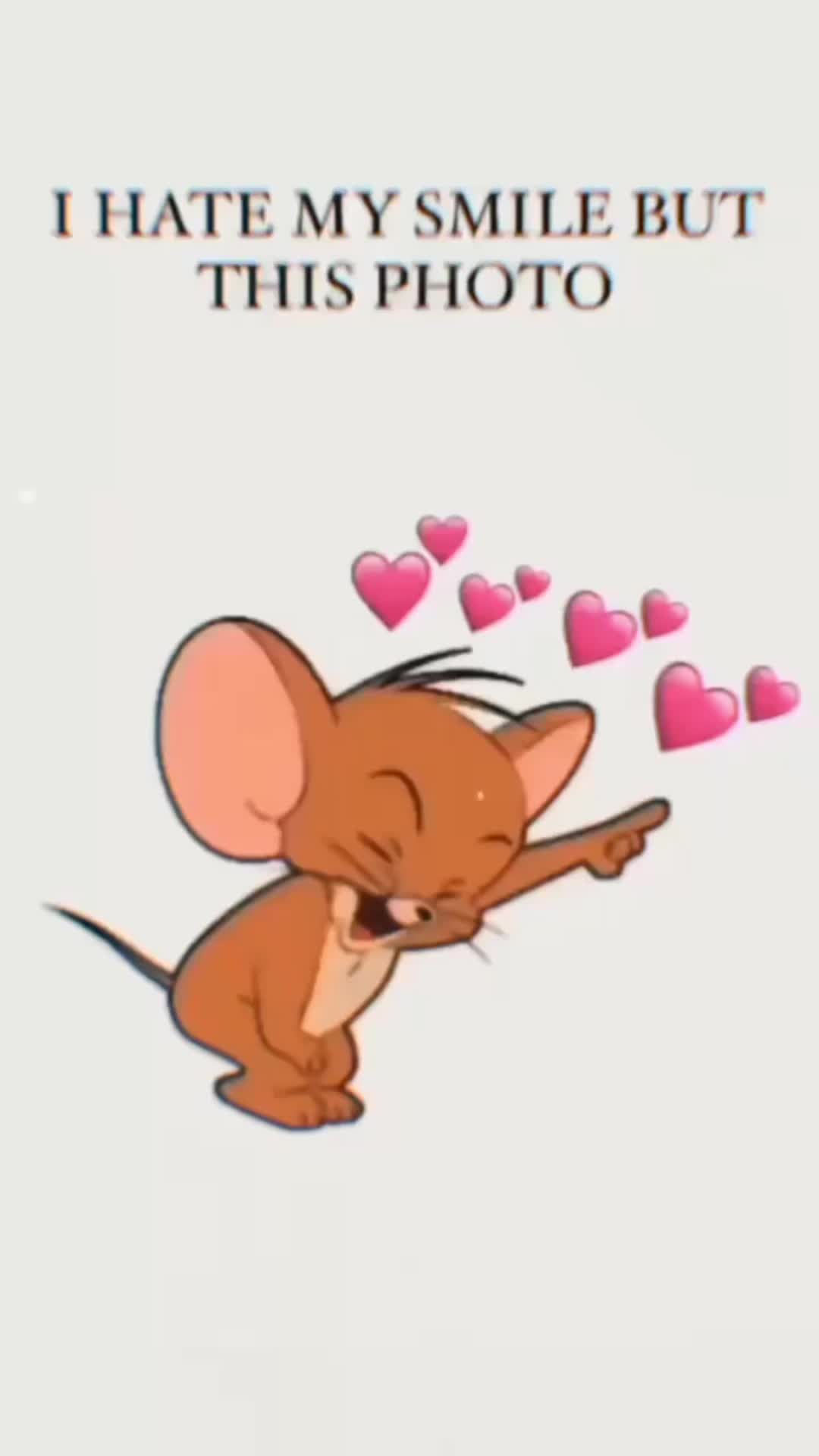 @kit