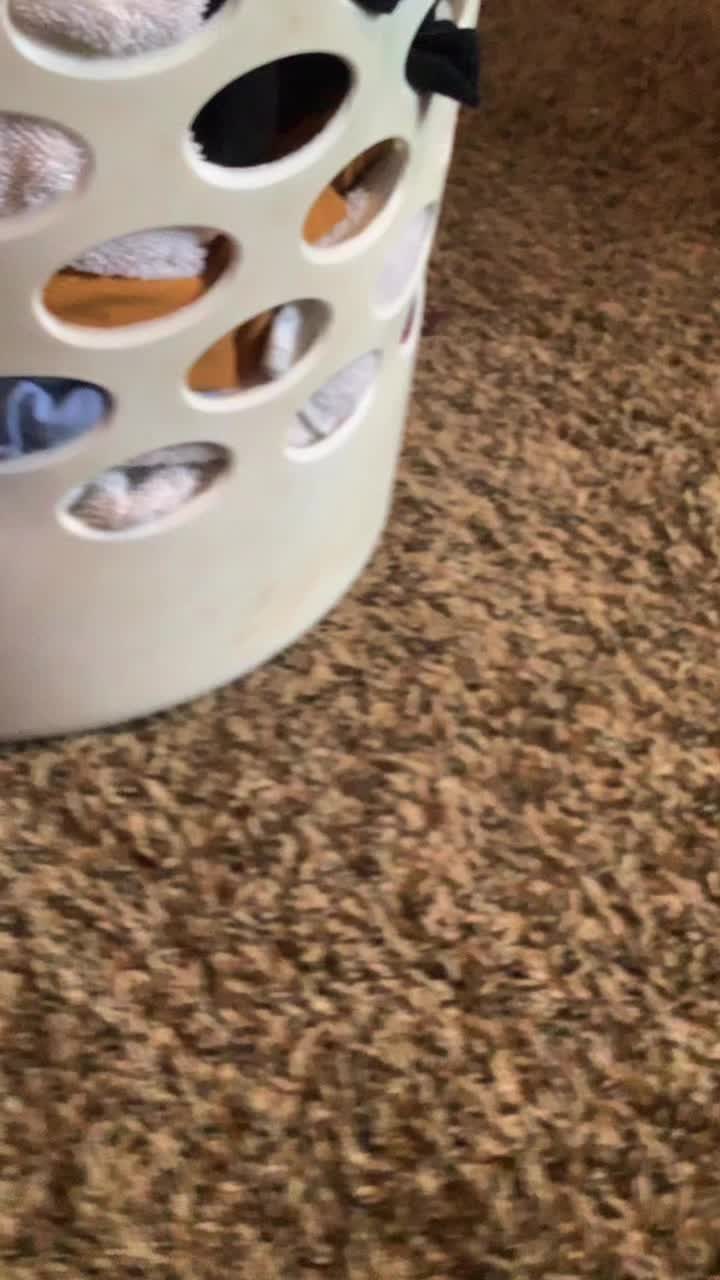 @lolomggurls