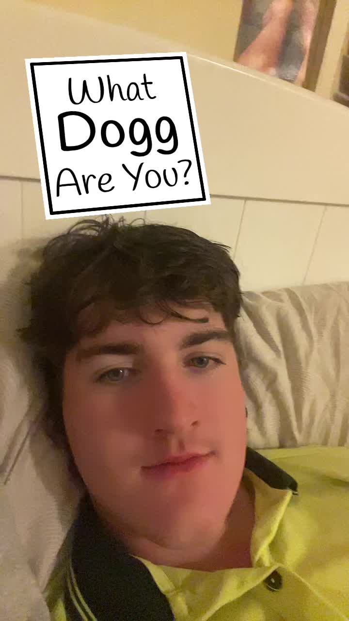 @willmcdermaid