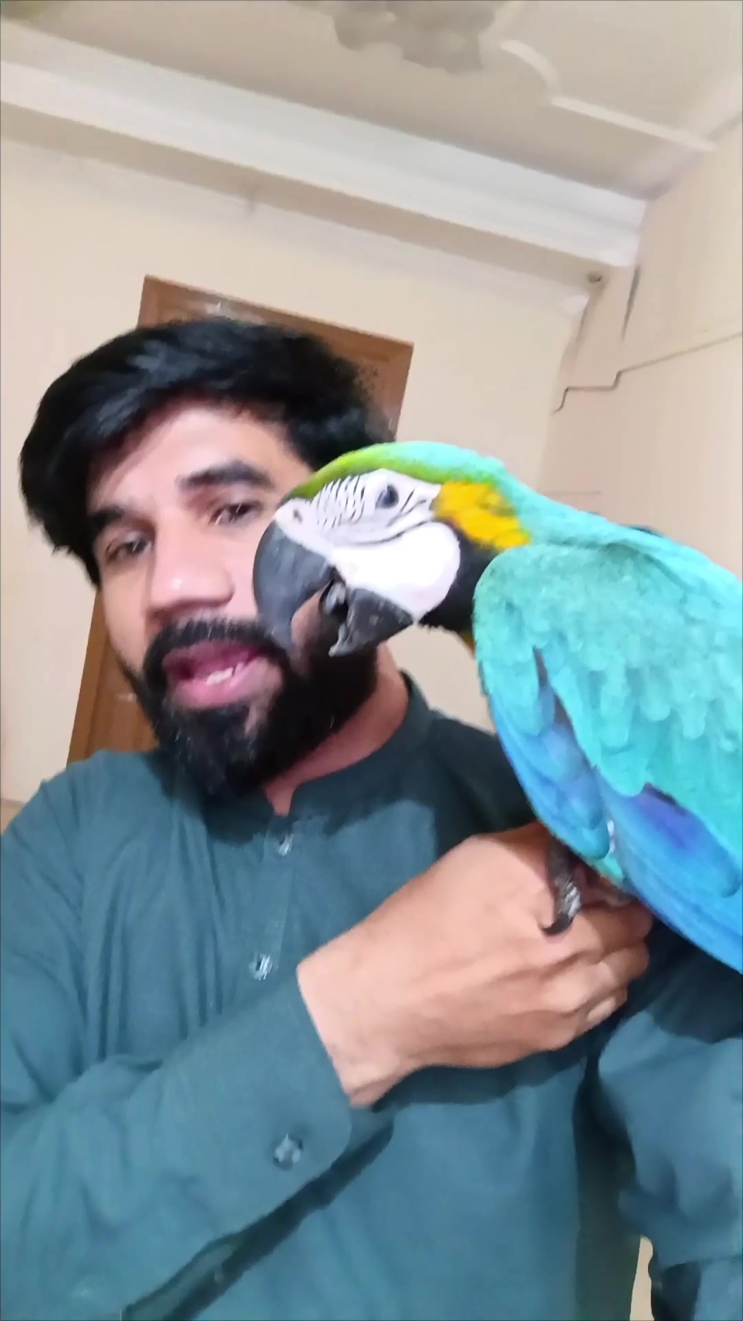 @Mehtab's Pet