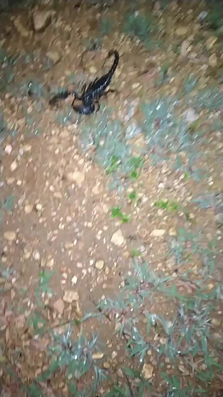 @user672397