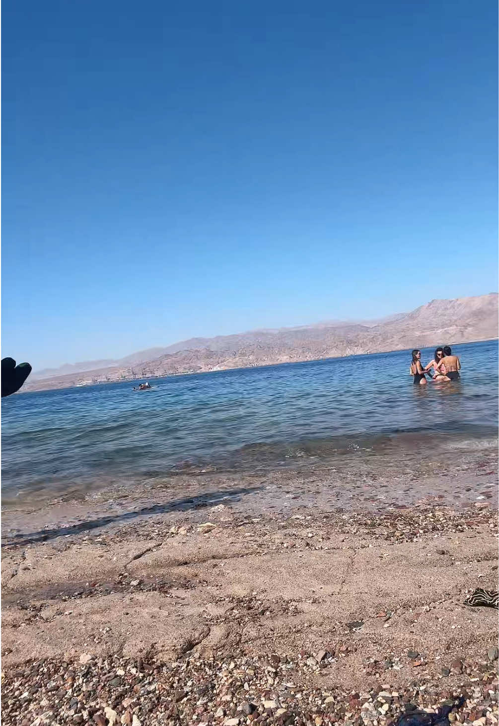@Shira__barda