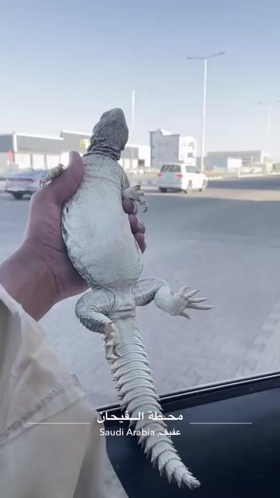 @مجهول