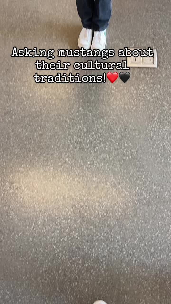 @mvhsclassof2026