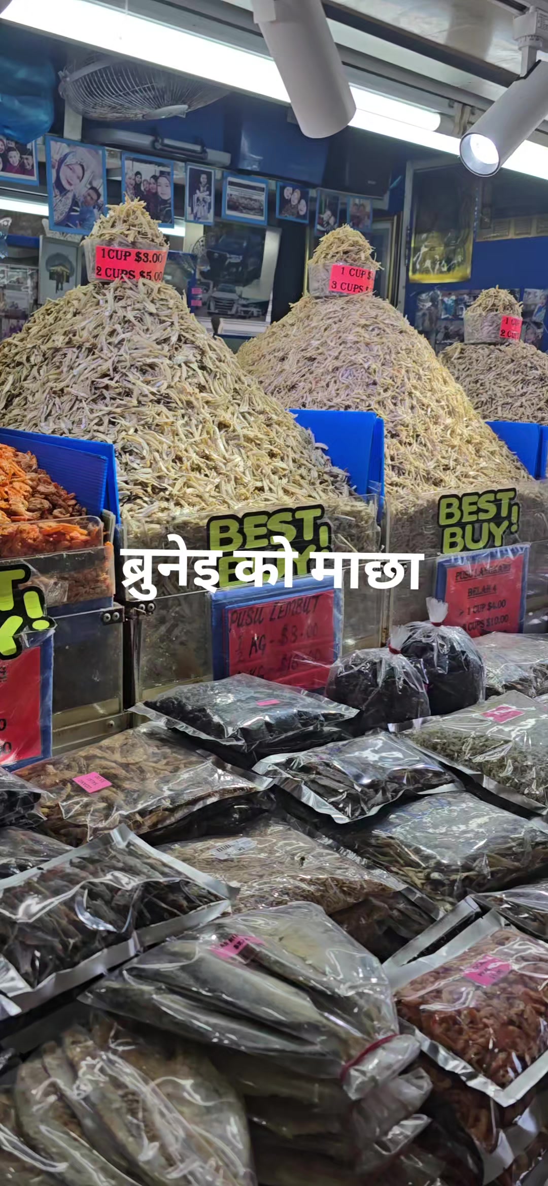 @KUMAR BaBu🇧🇳