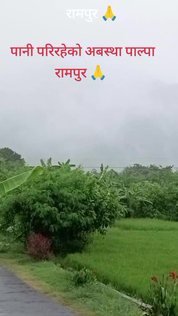 @Shanti Acharya925