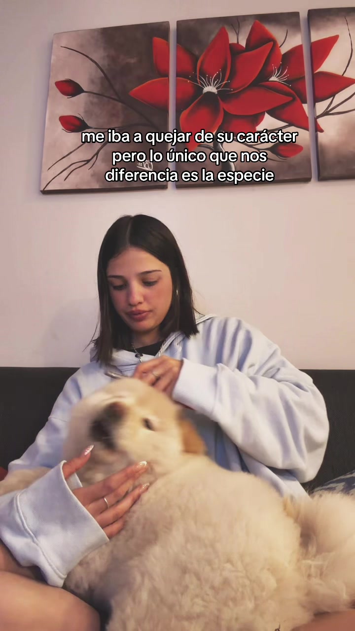 @Sofimor5a
