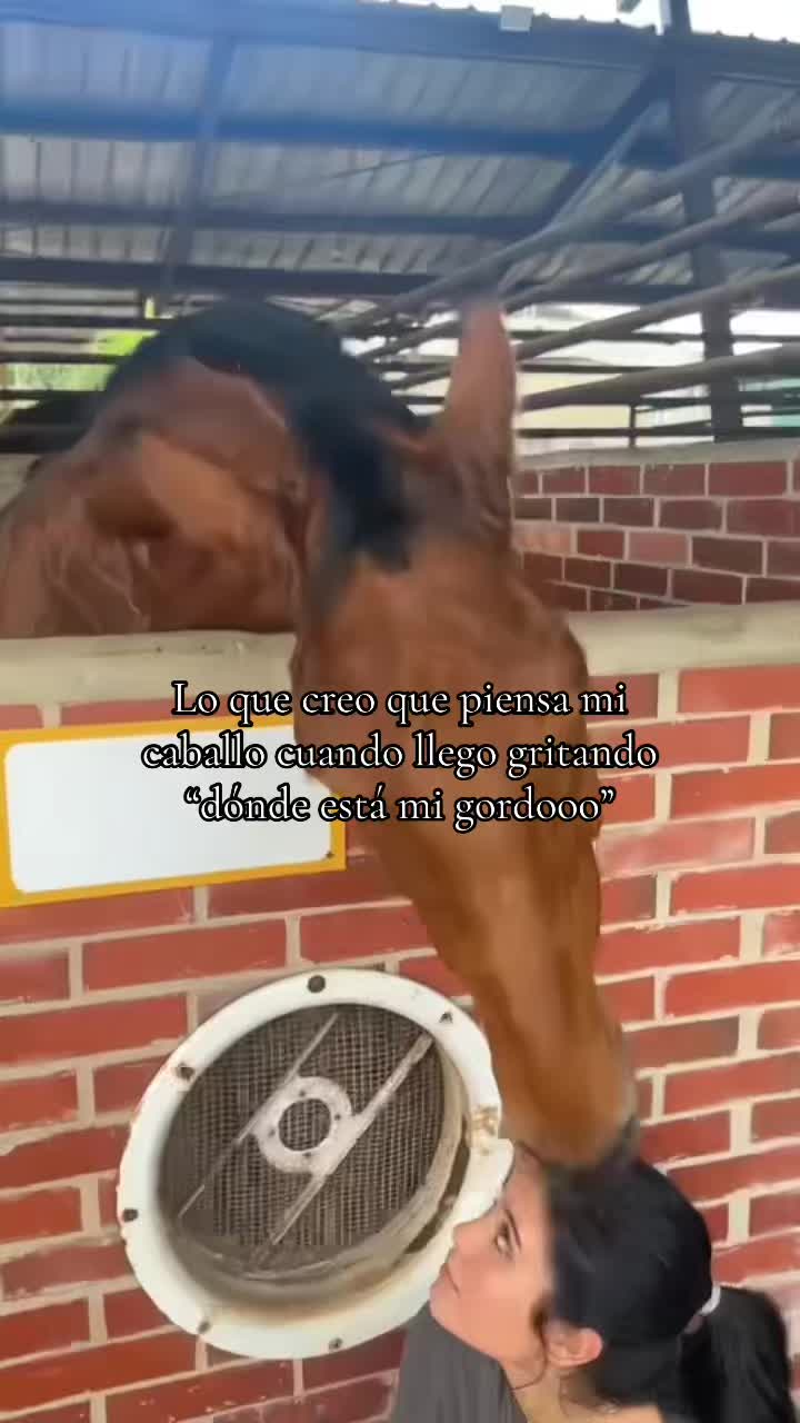 @salooo