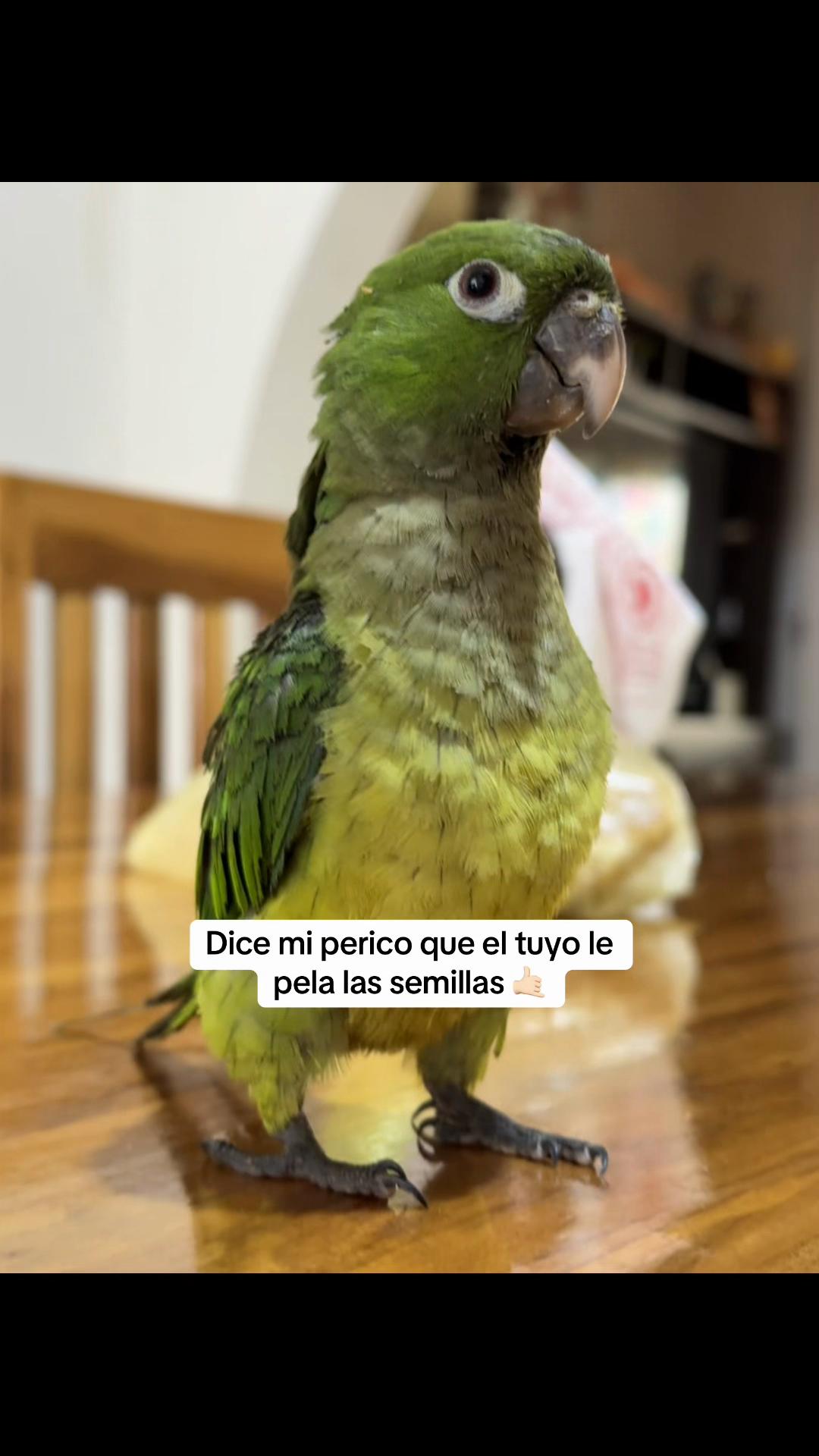 @Ig:__arianahuerta__
