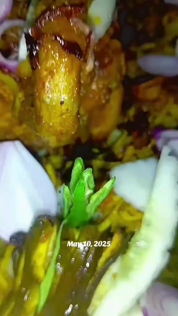 @রাত জাগা মেয়ে ❤️🕋🤲🇸🇦✈️
