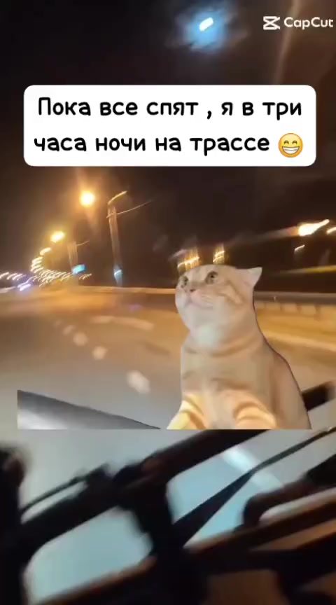@Александер