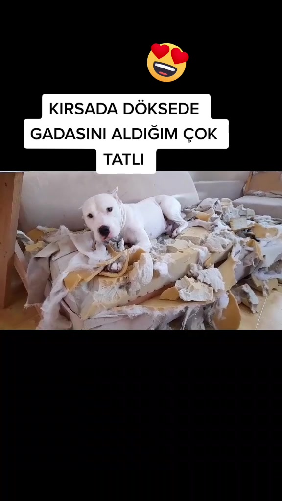 @Sevgi