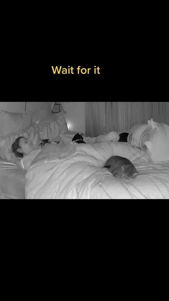 @romina_mycatfamily