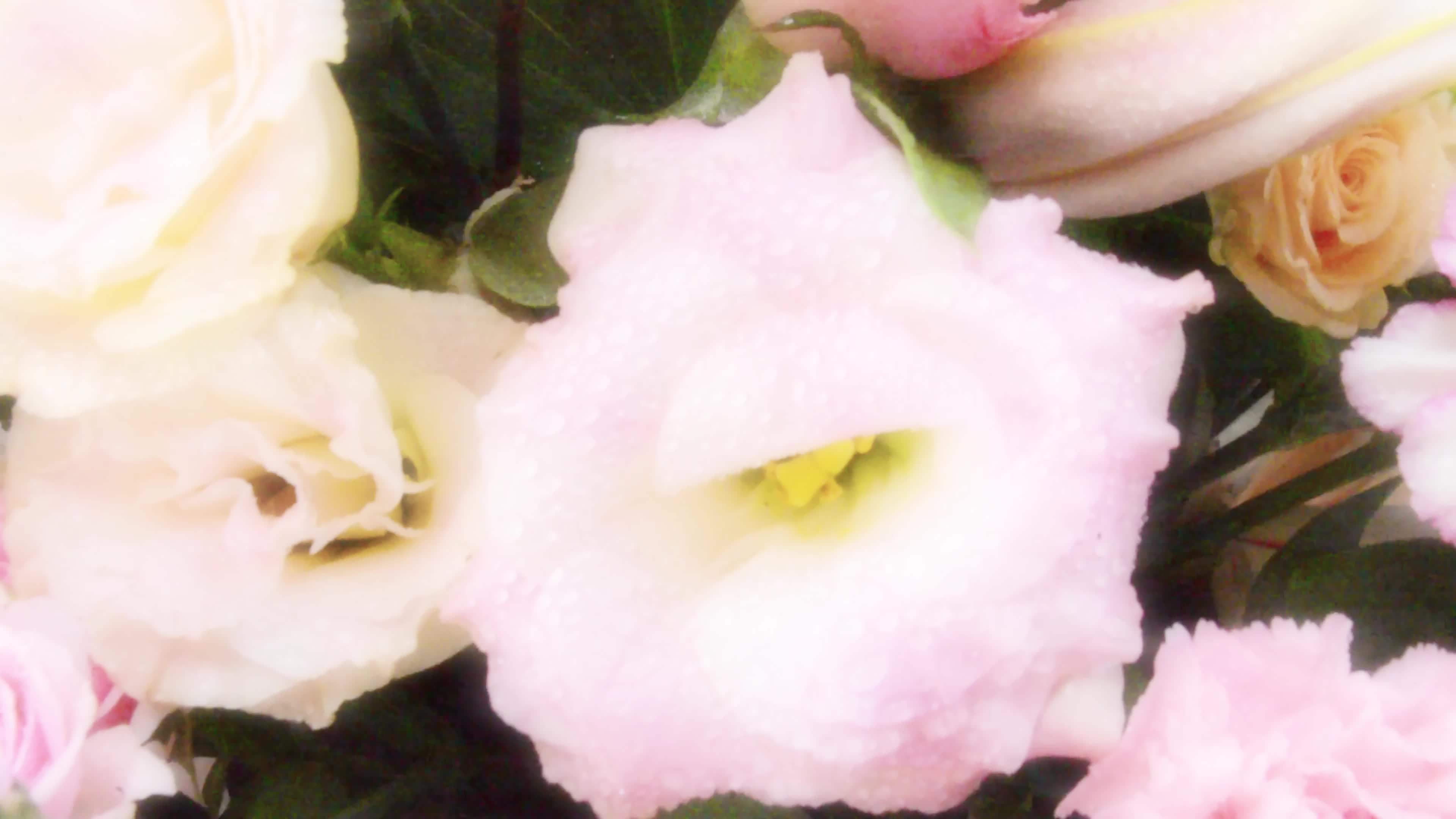 @flowergiftcenterdubai