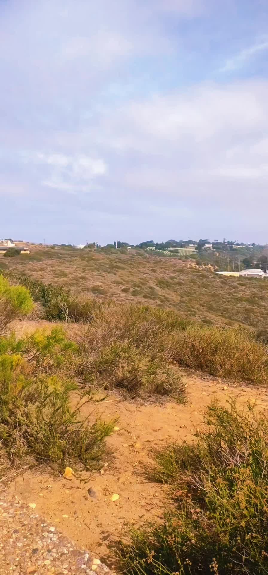 @Otatss